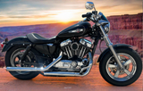 2014 Harley Davidson Sportster 1200 C