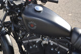 2020 Harley Davidson Sportster Iron 883