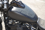 2019 Harley Davidson Fat Bob 114