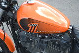 2024 Harley Davidson Street Bob 114