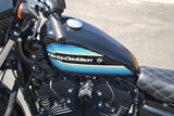 2019 Harley Davidson Sportster 1200 Iron