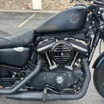 2021 Harley Davidson Sportster Iron 883