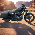 2021 Harley Davidson Sportster Iron 883